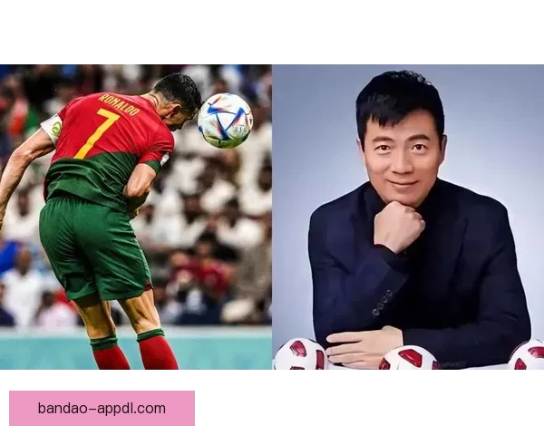 世界杯赛事预测分析全面指南助你精准把握比赛走向